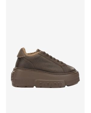 Casadei Classic Low-Top Sneakers - Brown
