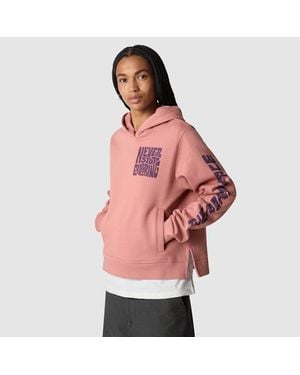 The North Face ’S Mountain Play Hoodie - Red