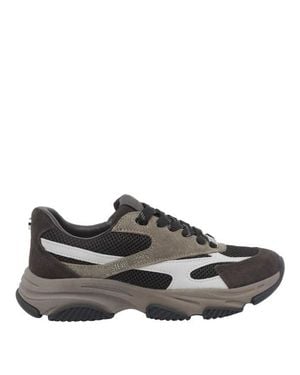 Steve Madden Sneakers Marroni - Grigio