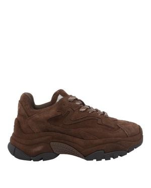 Ash Sneakers Marroni Addict Bis - Marrone