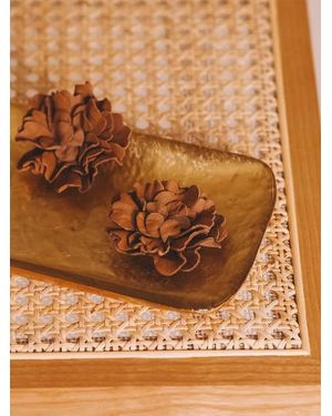 Toni Pons Brooch - Brown