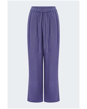 Xirena Devon Pant - Purple