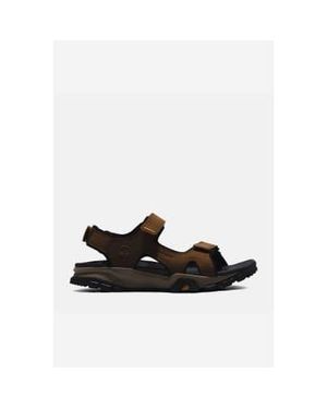 Mens timberland sandals sale hot sale