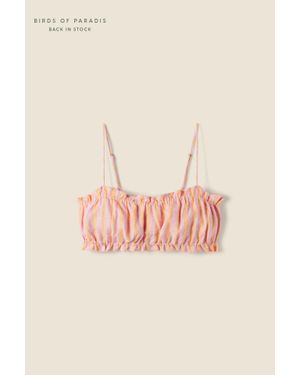 Trovata Birds Of Paradis By Trovata - Pink