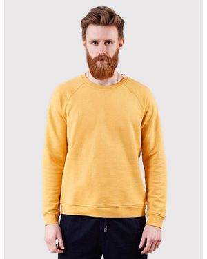 Folk Folk Raglan Sweat - Yellow