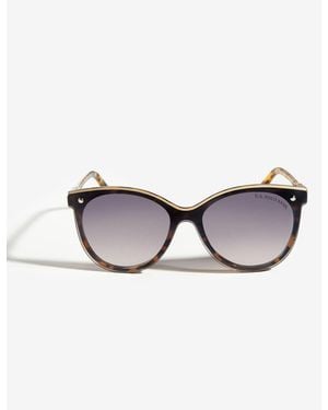 U.S. POLO ASSN. Ladies Cat-Eye Shield Enamel Top Rim Sunglasses - Multicolor
