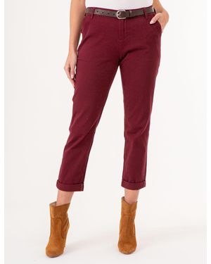 U.S. POLO ASSN. Straight Chino Pants - Red