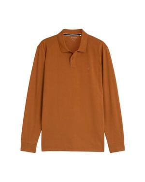 Tom Tailor Poloshirt - Braun