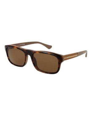 Web Acetat Sonnenbrille - Braun