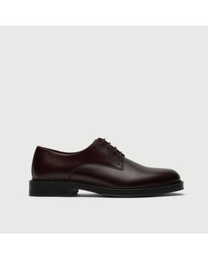 Walk London Vincent Derby Shoe - Brown