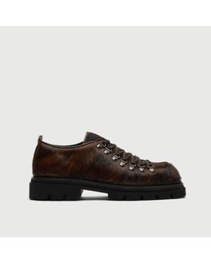 Walk London Hartford Hiking Shoe - Brown