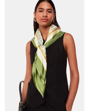 Sahara Sahar Buttercup Silk Scarf - Black