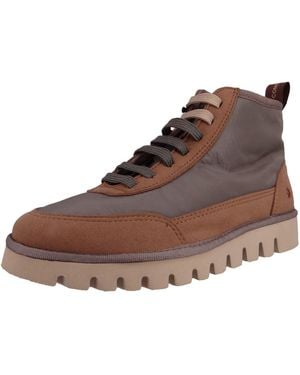 Art Sneaker Ontario - Braun