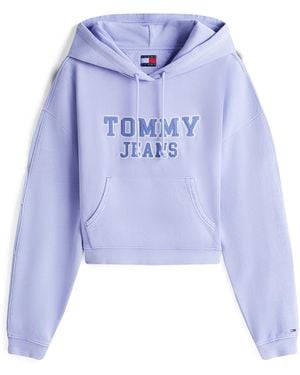 Tommy Hilfiger Sweatshirt Varsity - Blau