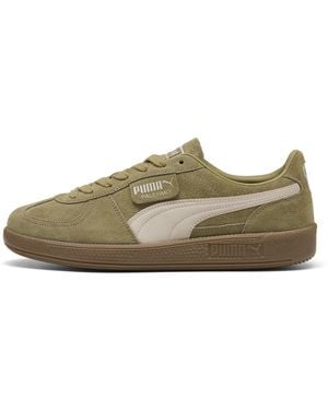 PUMA Sneaker Palermo - Grün