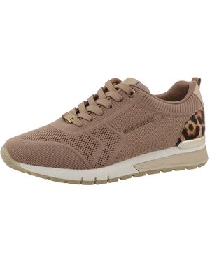 Tom Tailor Sneaker - Braun