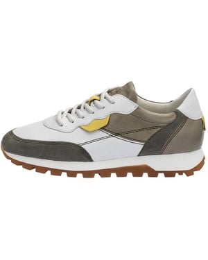Lloyd Sneaker Milo - Grau