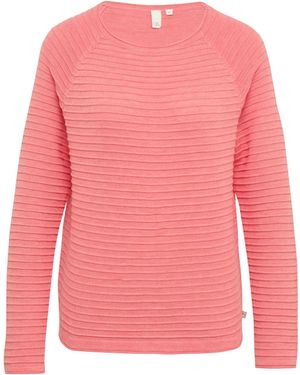 QS Pullover - Pink