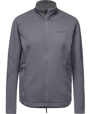 Gore Wear Fahrradjacke Fernflow - Grau