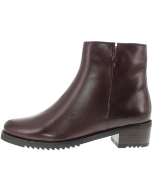 Everybody Ankle Boots Belport - Braun