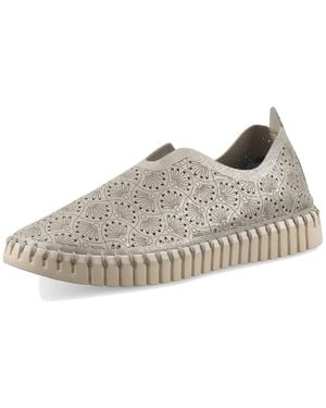Ilse Jacobsen Slipper Tulip 3484 - Grau