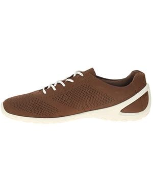 Ecco Sneaker Low Biom Lite - Braun