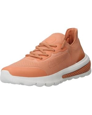 Geox Sneaker - Mehrfarbig