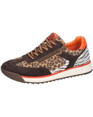 Waldläufer Sneaker - Mehrfarbig