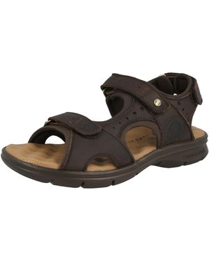 Panama Jack Sandale Salton C35 - Schwarz