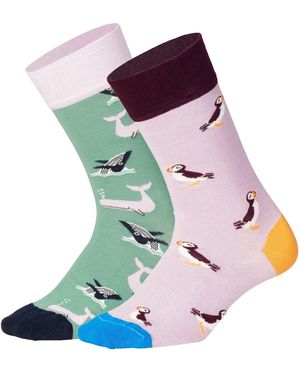 DillySocks Socken Water Enthusiasts - Mehrfarbig