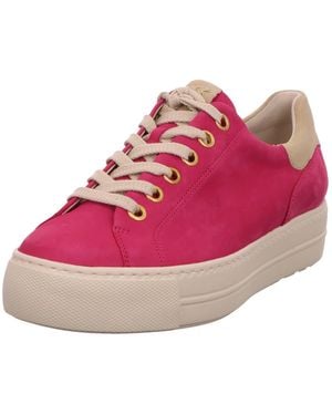 Paul Green Sneaker Low Sneaker Damen 5320-045 Rauleder - Pink