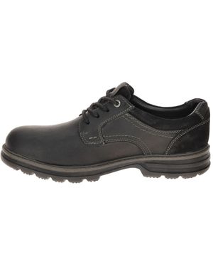 Camel Active Schnürschuh Darwin - Schwarz