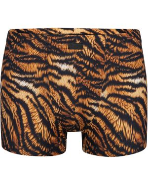 MANSTORE Boxer M2577 Micro Pants - Braun