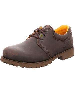 Panama Jack Schnürschuh Schnürschuh Herren Panama 02 C2 Echtleder - Braun