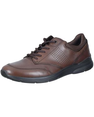 Ecco Schnürschuh - Braun