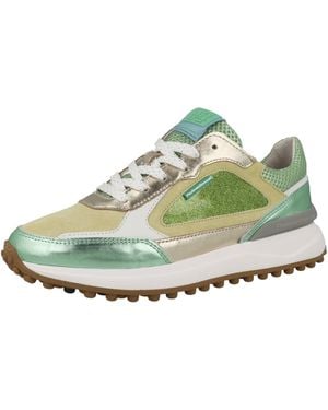 Floris Van Bommel Sneakers - Grün