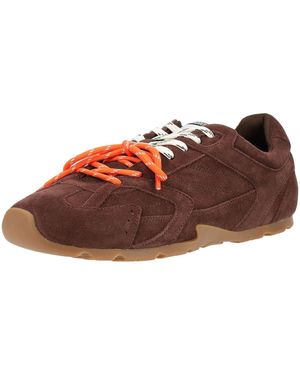 Steve Madden Sneaker - Braun
