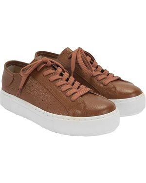 Desa Slipper Trainer - Braun
