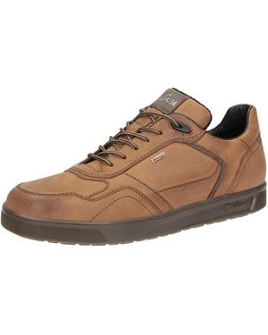 Sioux Sneaker Tedroso-706-Tex - Braun