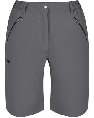 Regatta Shorts Xert It - Grau