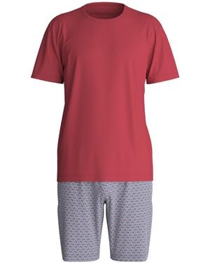 CALIDA Pyjama Kurz Cotton Special - Rot