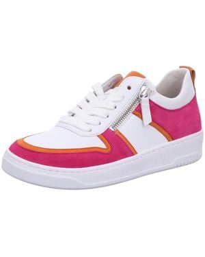 Gabor Sneaker Low Sneaker Damen 43.340.20 Echtleder - Pink