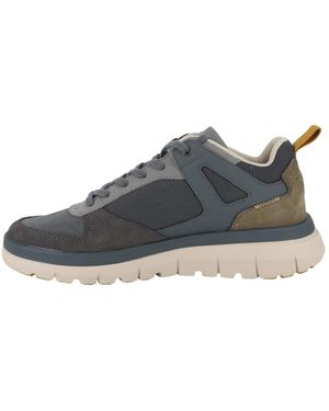 Palladium Sneaker 04340-427-M - Braun