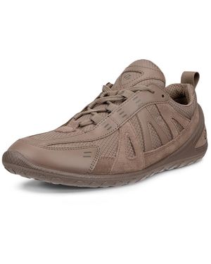 Ecco Sneaker Biom Lite - Braun