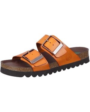 Dr. Brinkmann Pantolette Bonillo - Braun