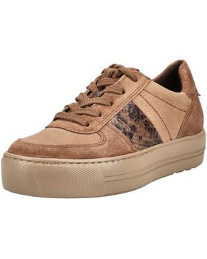 Paul Green Sneaker - Braun