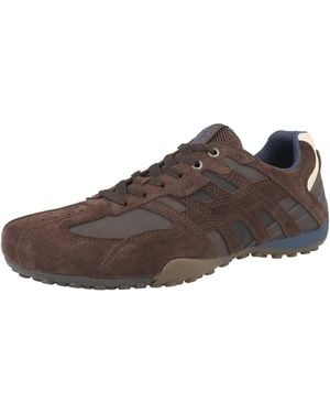 Geox Sneaker - Braun