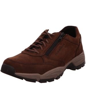 Gabor Sneaker Low - Braun