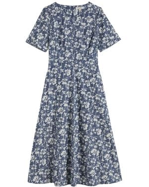Seasalt Cornwall Kleid Fox Path - Blau