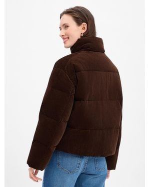 Polo Ralph Lauren Jacke - Braun